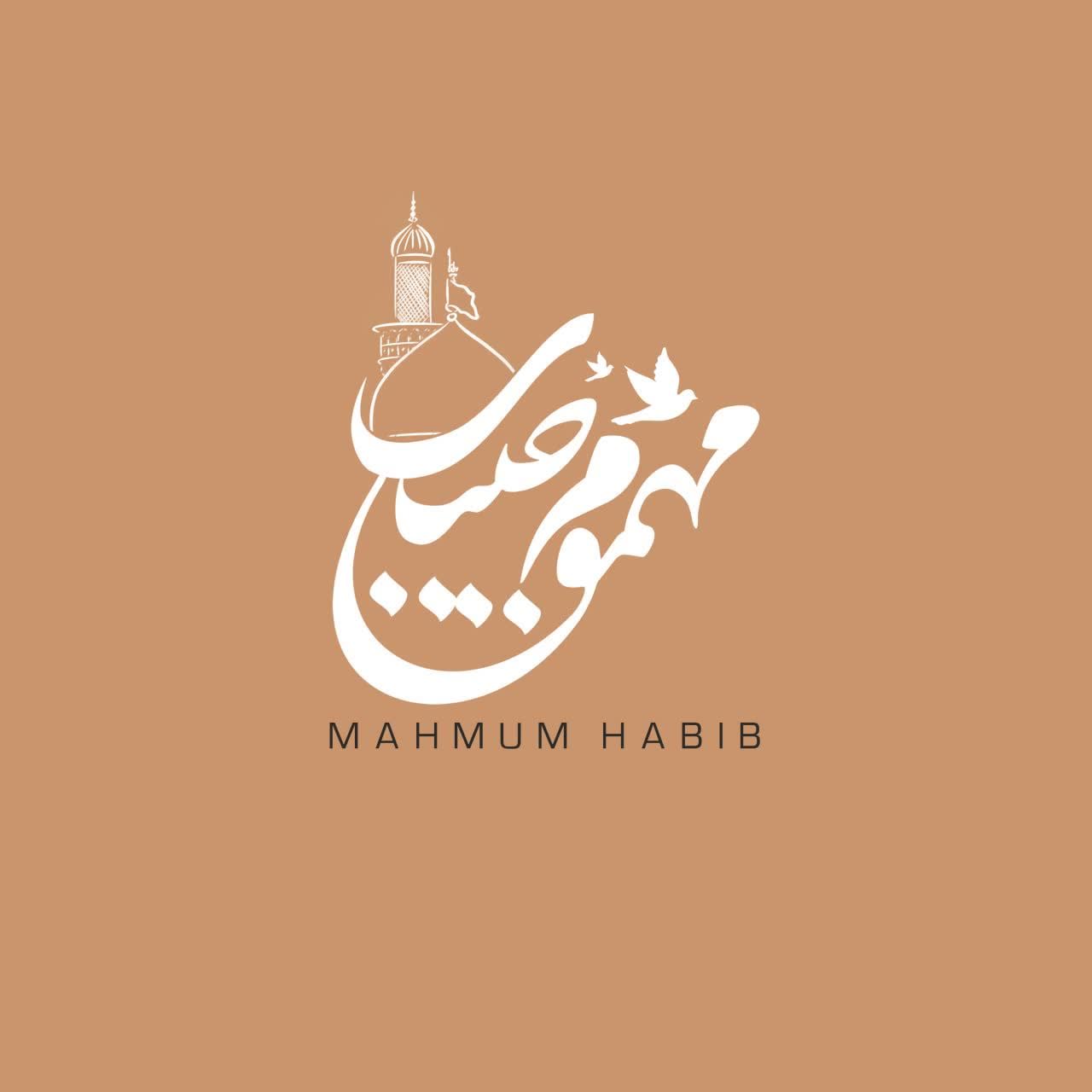 لوگو مهموم حبیب